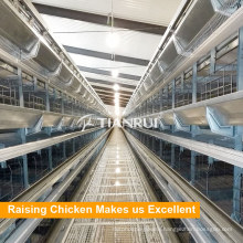 Tianrui Poultry Farm Equipment H Type Chiken Cage